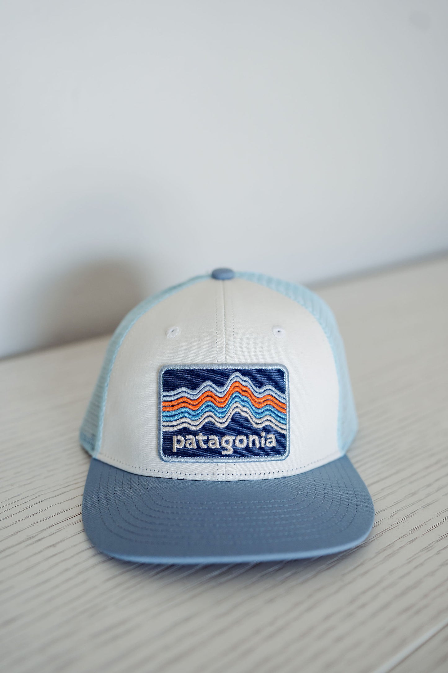 Kids Patagonia Trucker Hat - Ridge Rise Stripe