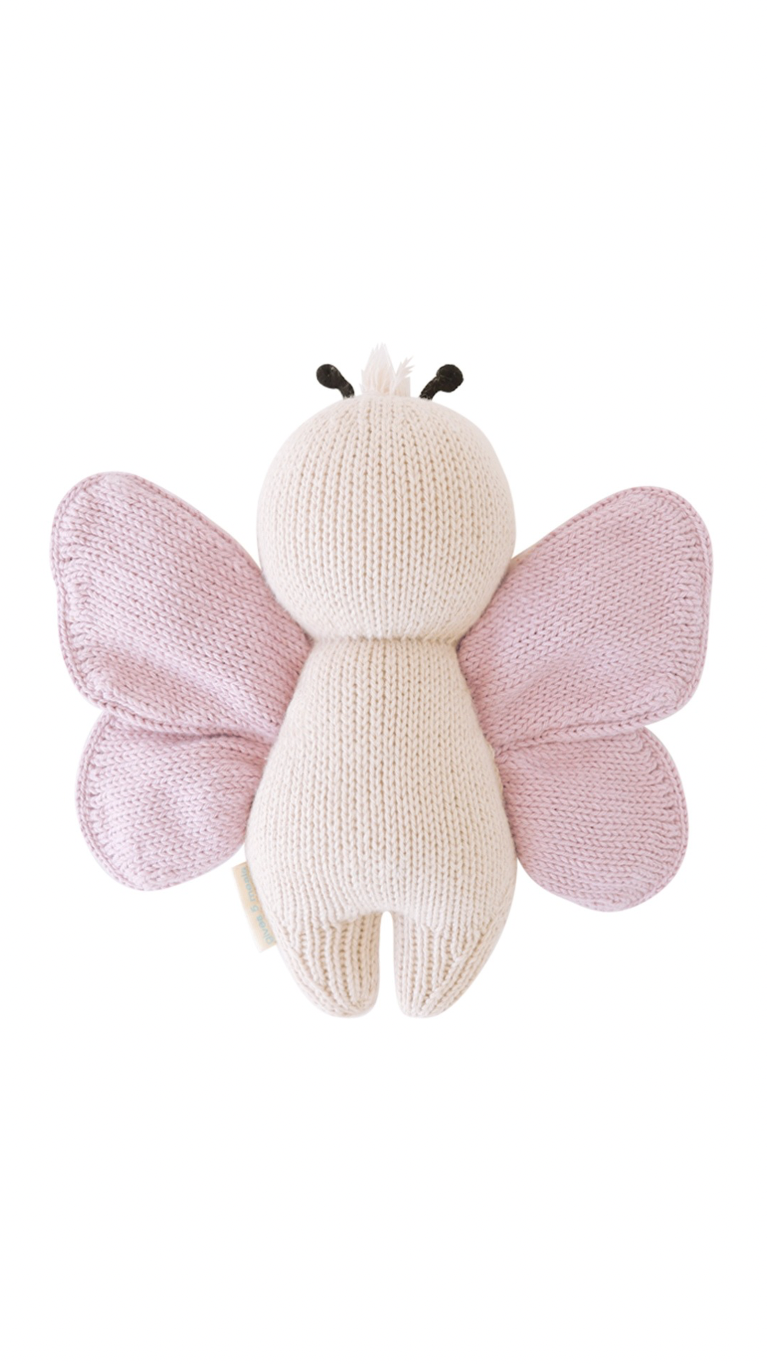 Baby Butterfly