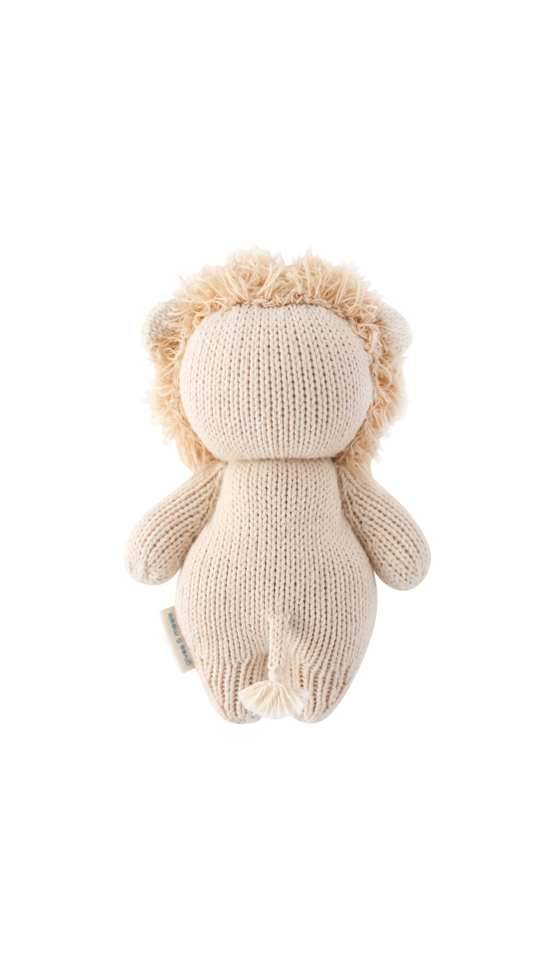 Baby Lion