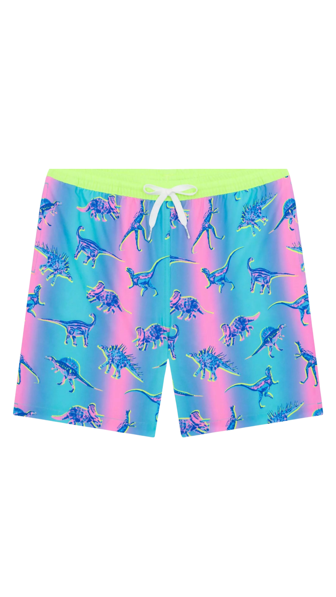 Chubbies Lil Dino Delights Youth Magic Swim Trunks All About You Boutique