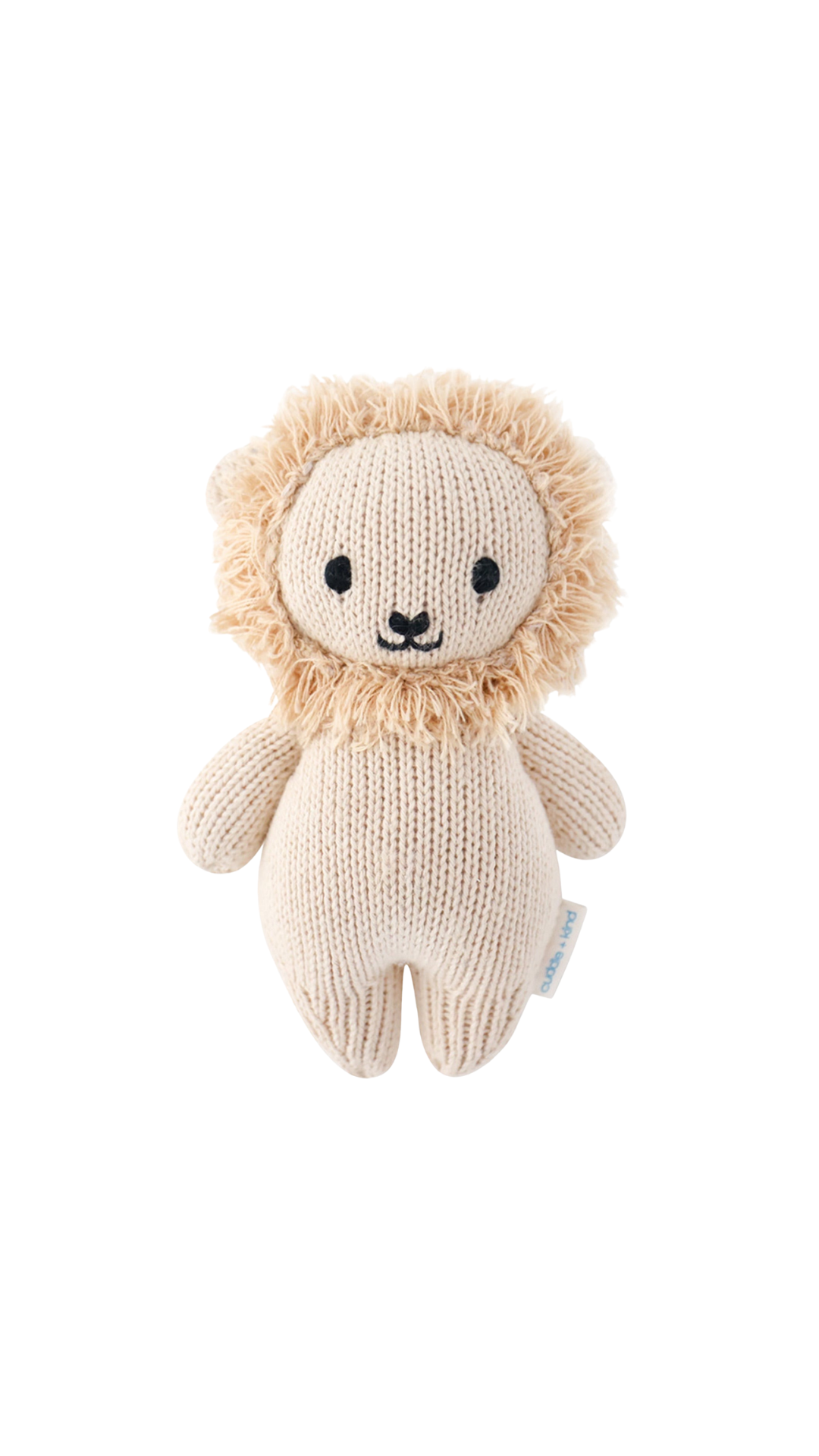 Baby Lion
