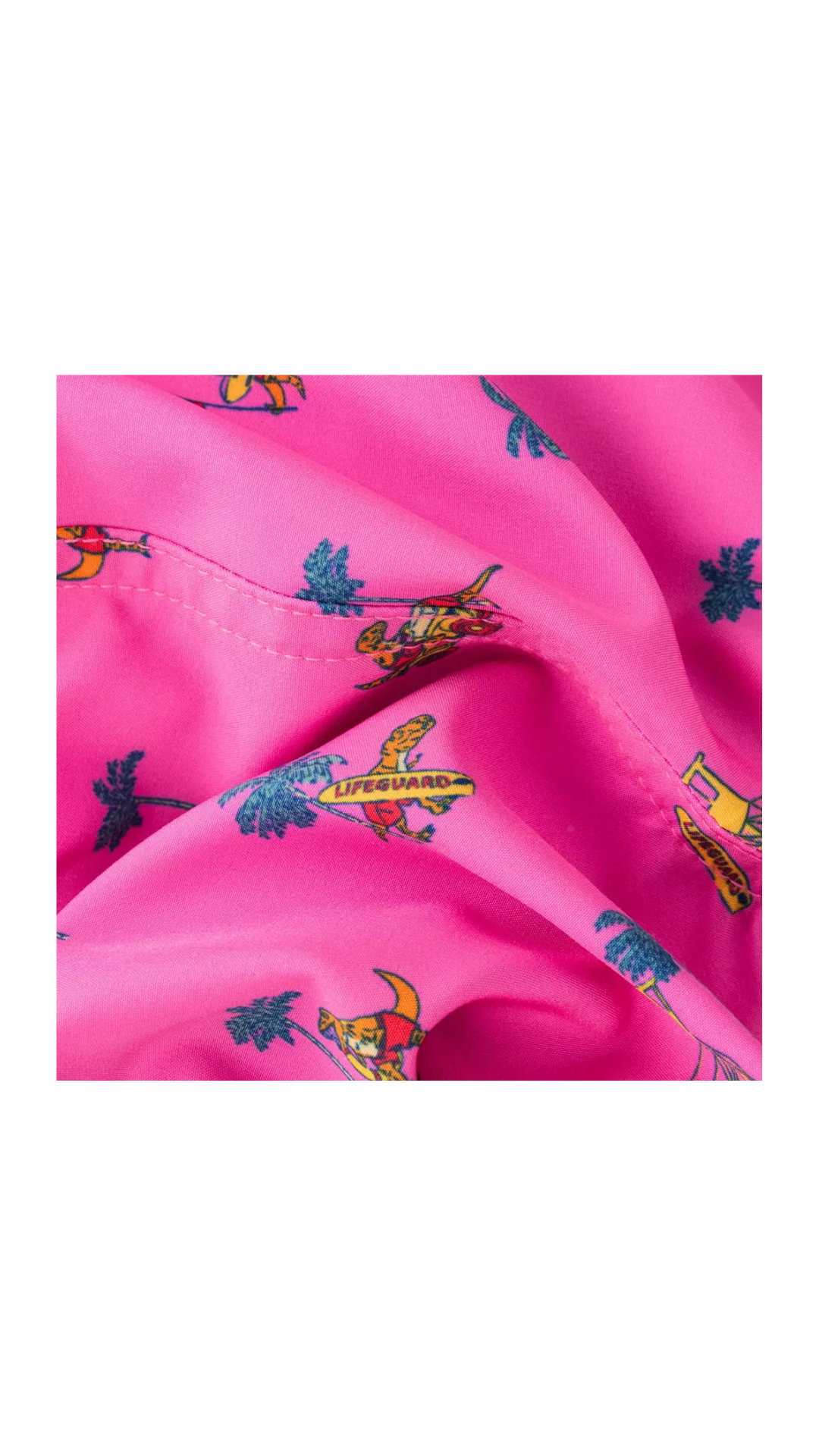 Chubbies Kids Swim Trunks - The Dino Racers