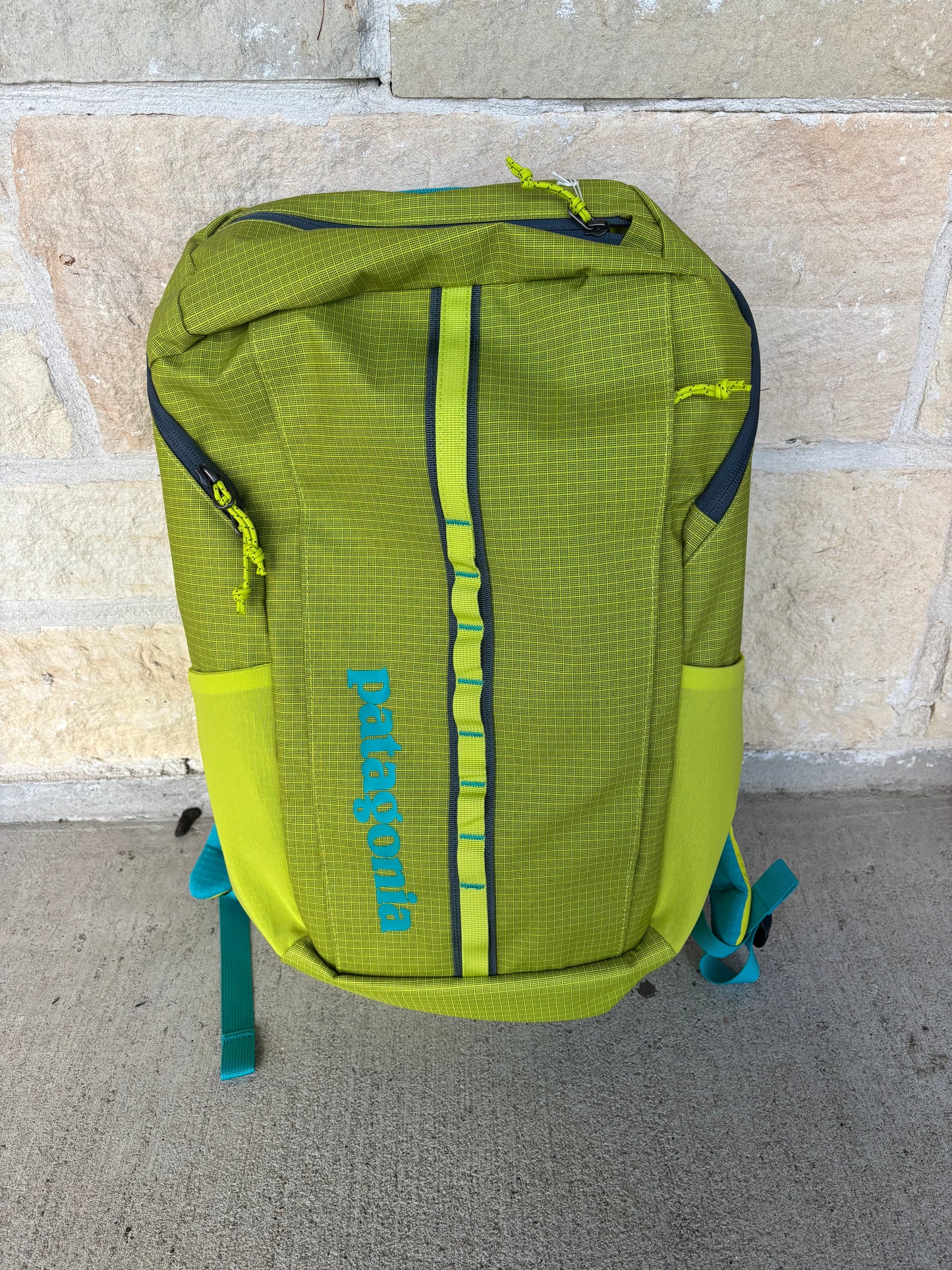 Patagonia Black Hole Backpack