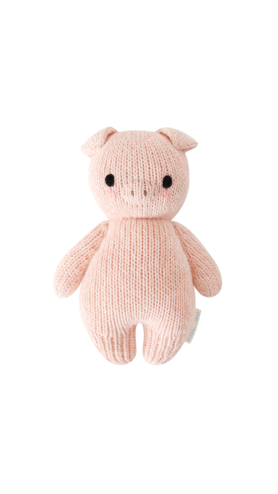 Baby Piglet