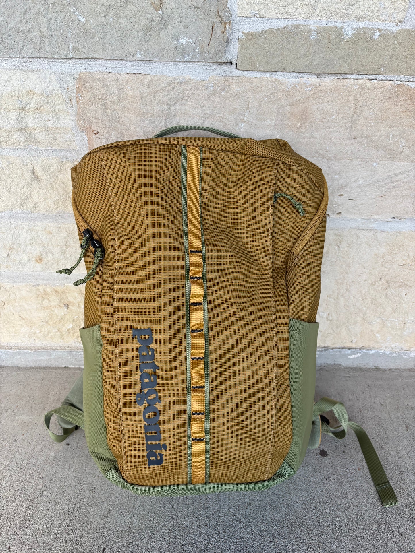 Patagonia Black Hole Backpack