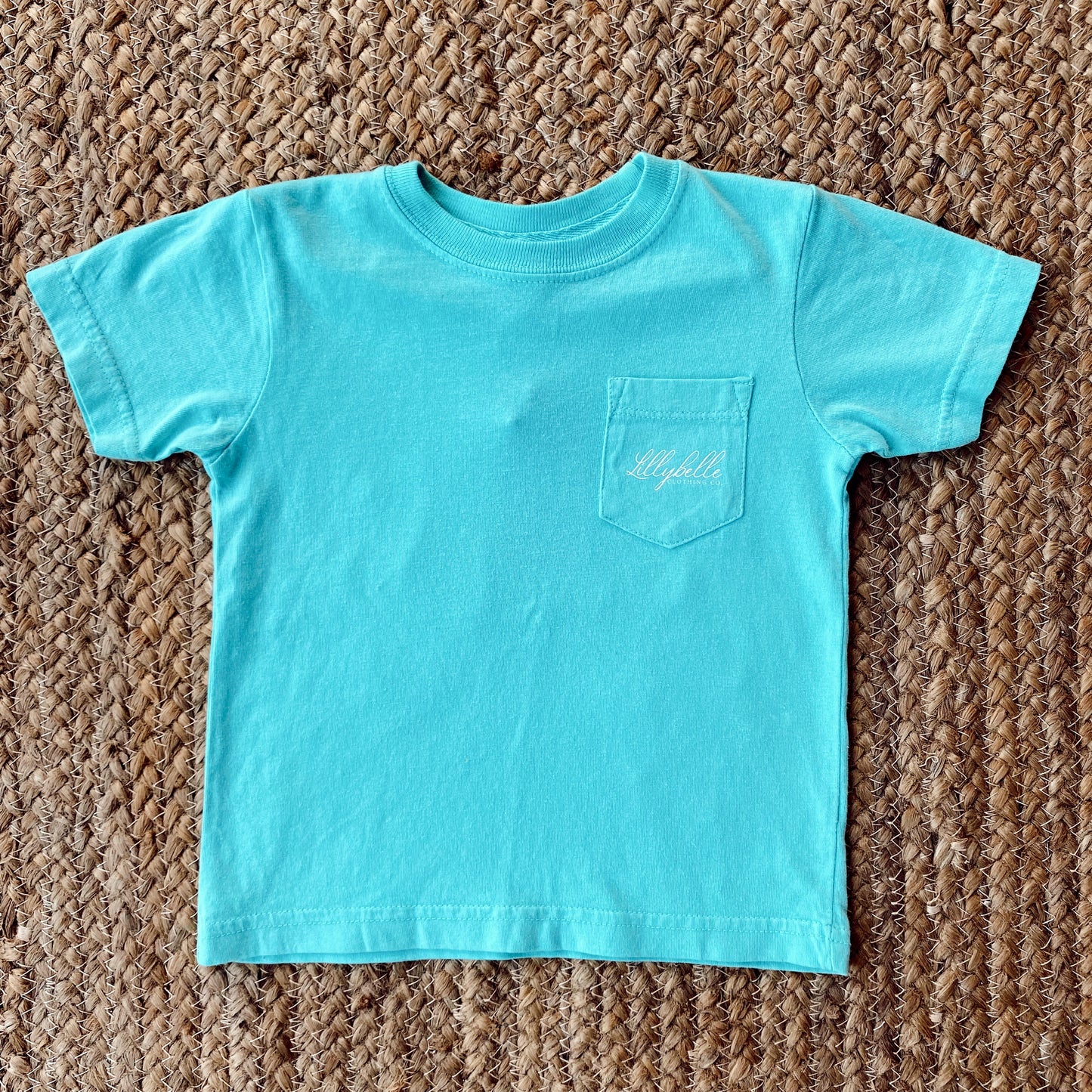 LillyBelle Puppy Chewing Shoe Tee