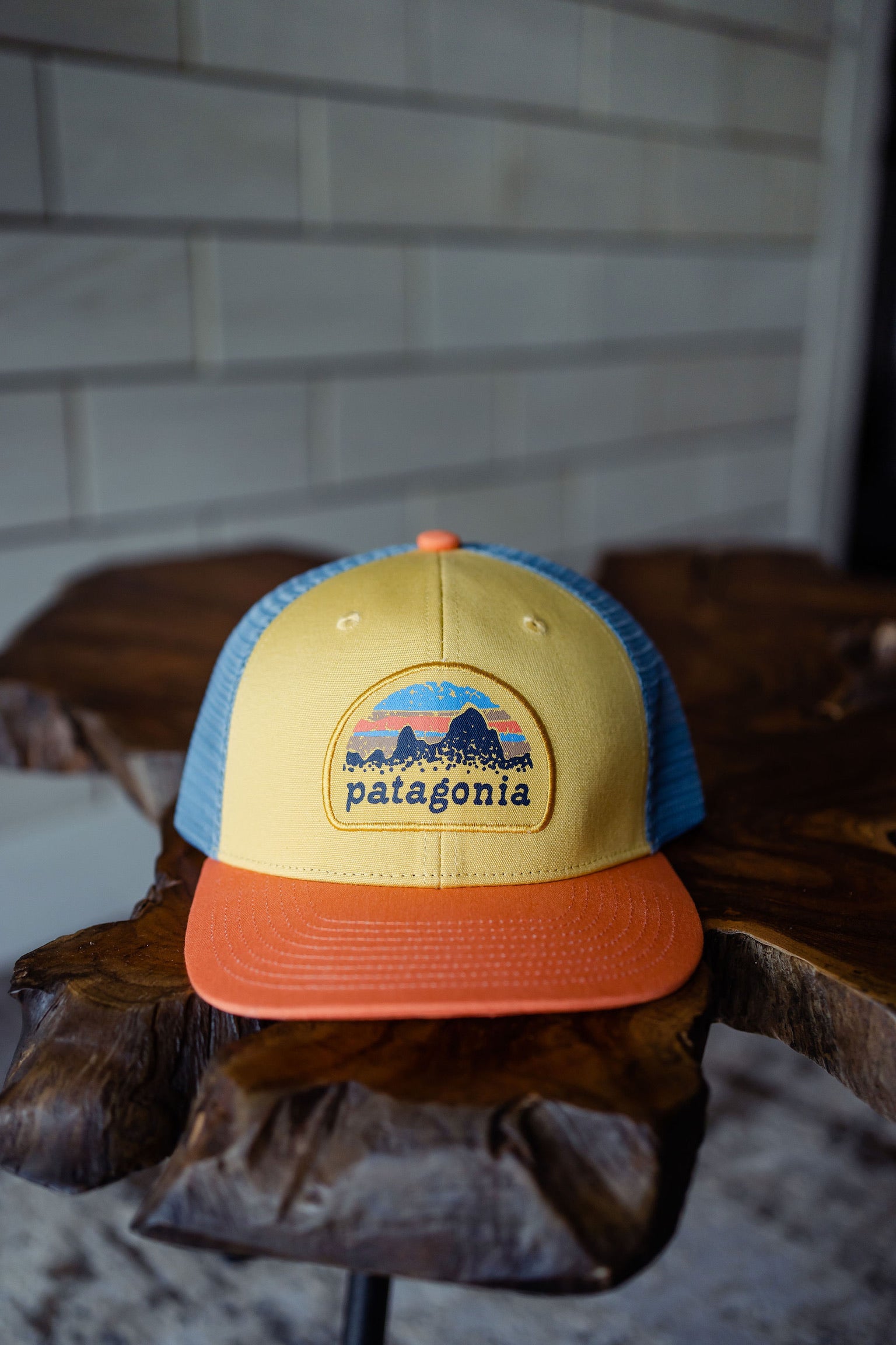 Kids Patagonia Trucker Hat - Ridge Rise Stripe – All About You