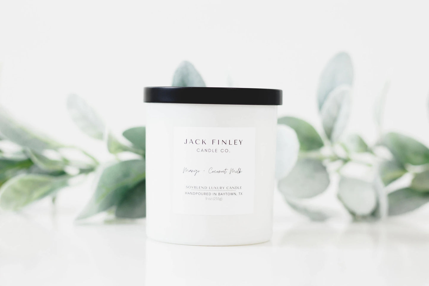 Mango + Coconut Milk x Jack Finley