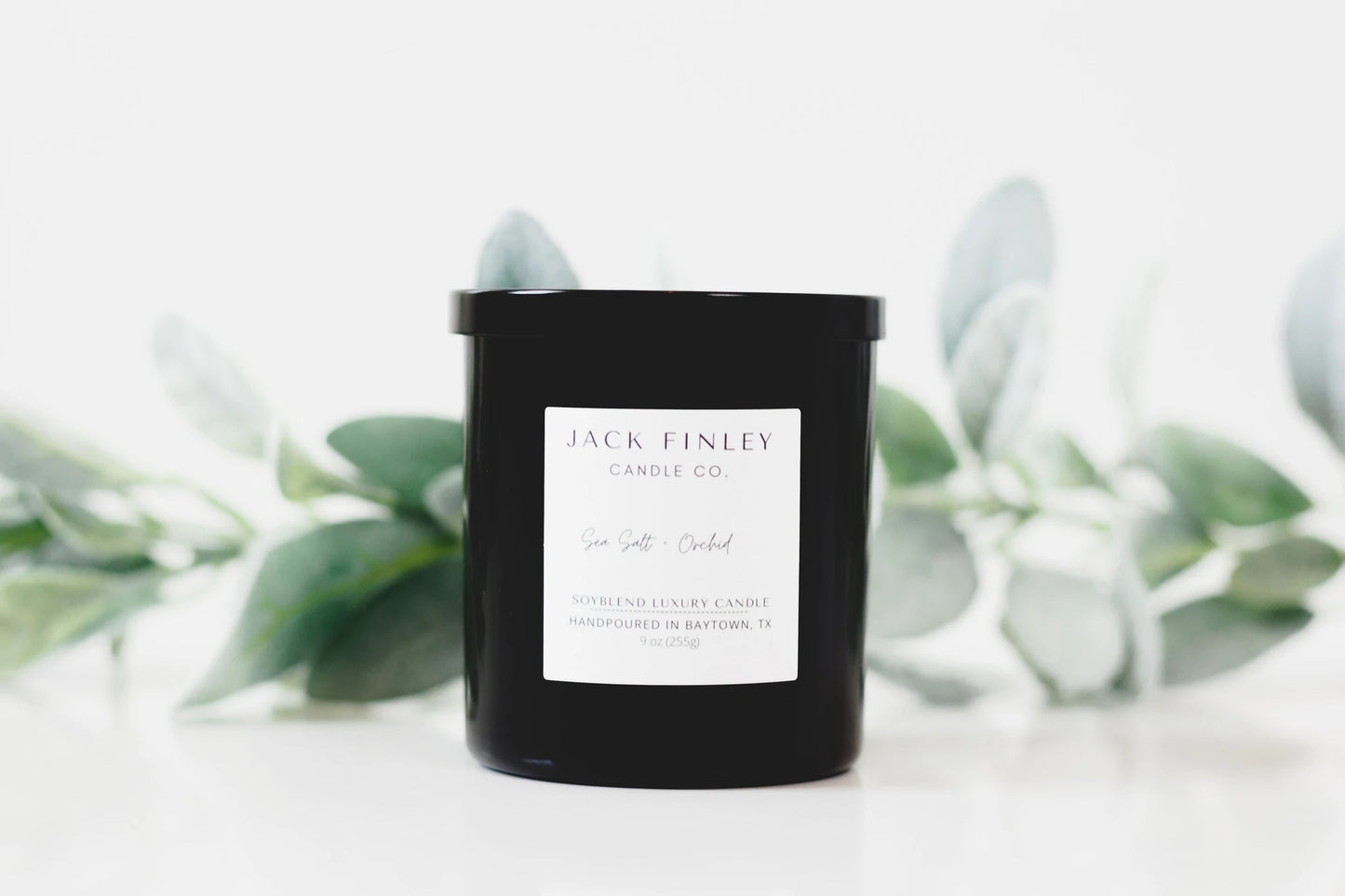 Sea Salt + Orchid x Jack Finley