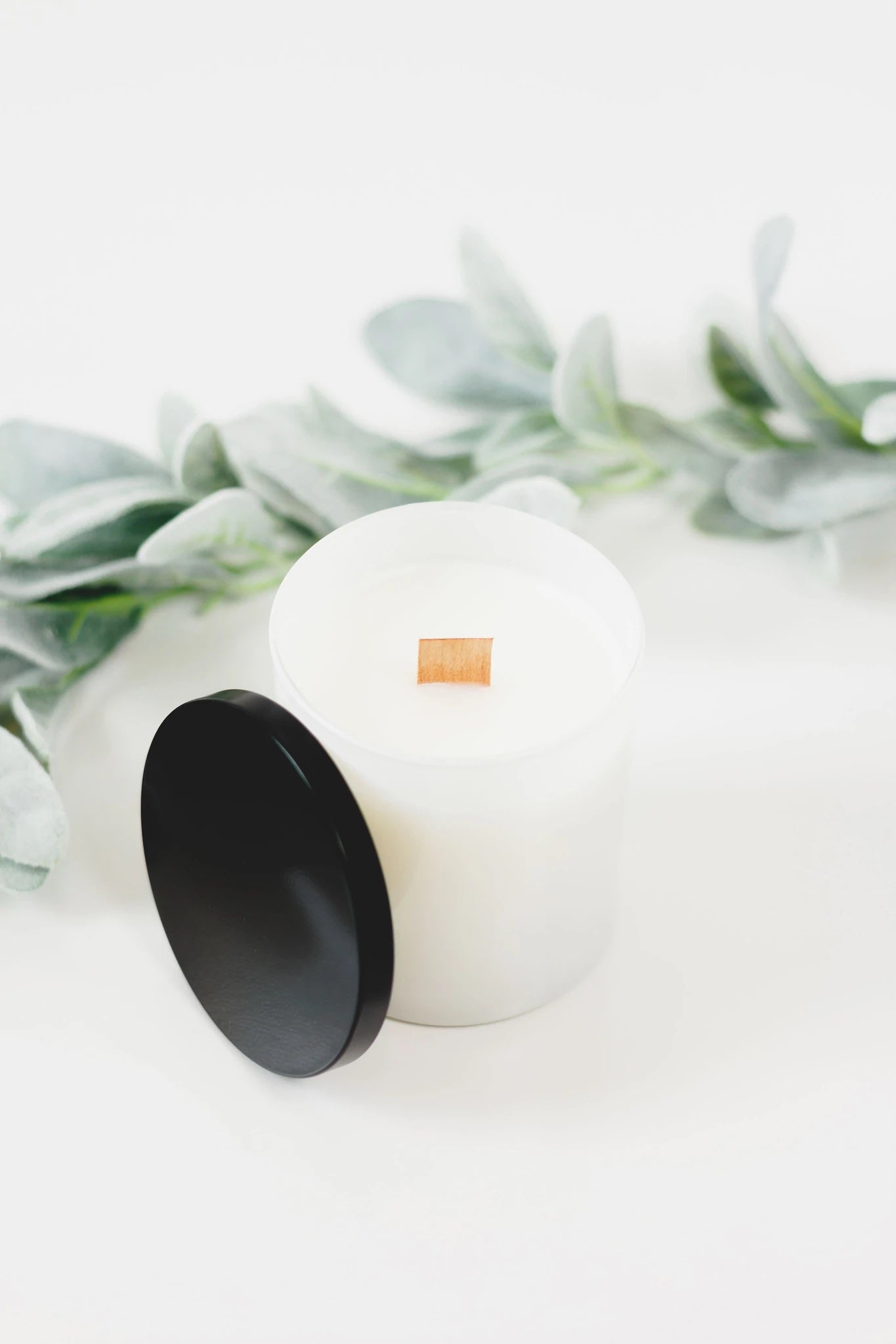Mango + Coconut Milk x Jack Finley