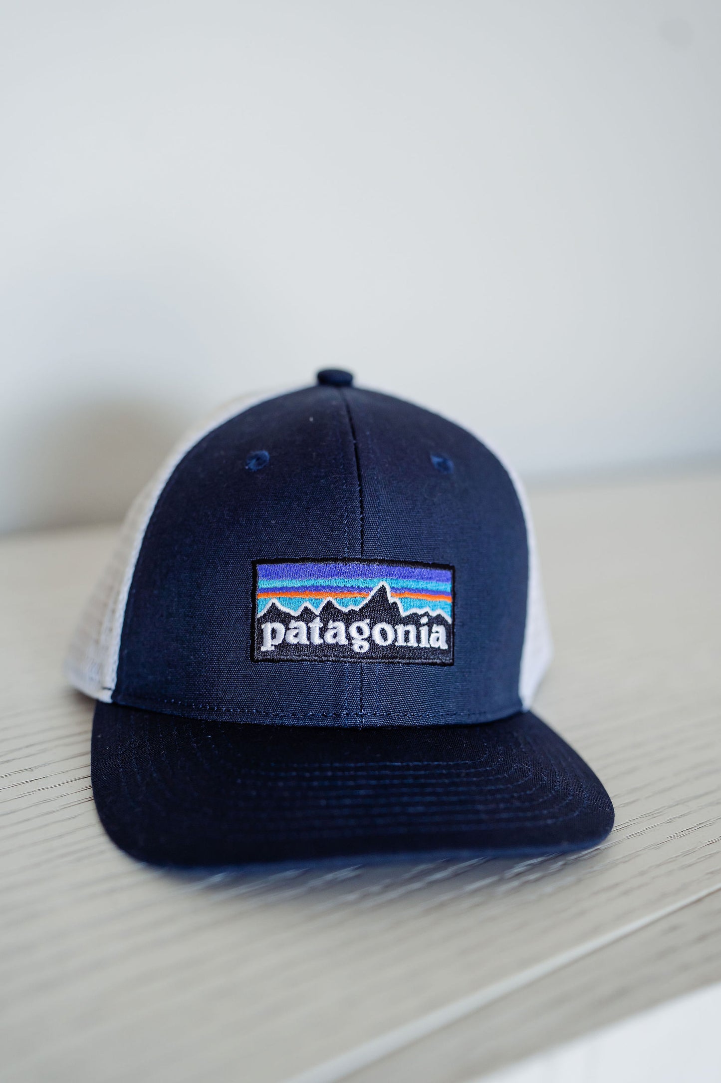 Kids Patagonia Trucker Hat - P-6 Logo