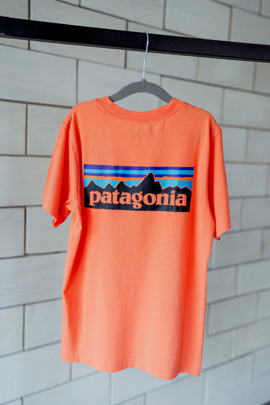 Kids Patagonia P-6 Logo Graphic T-Shirt