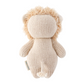 Baby Lion