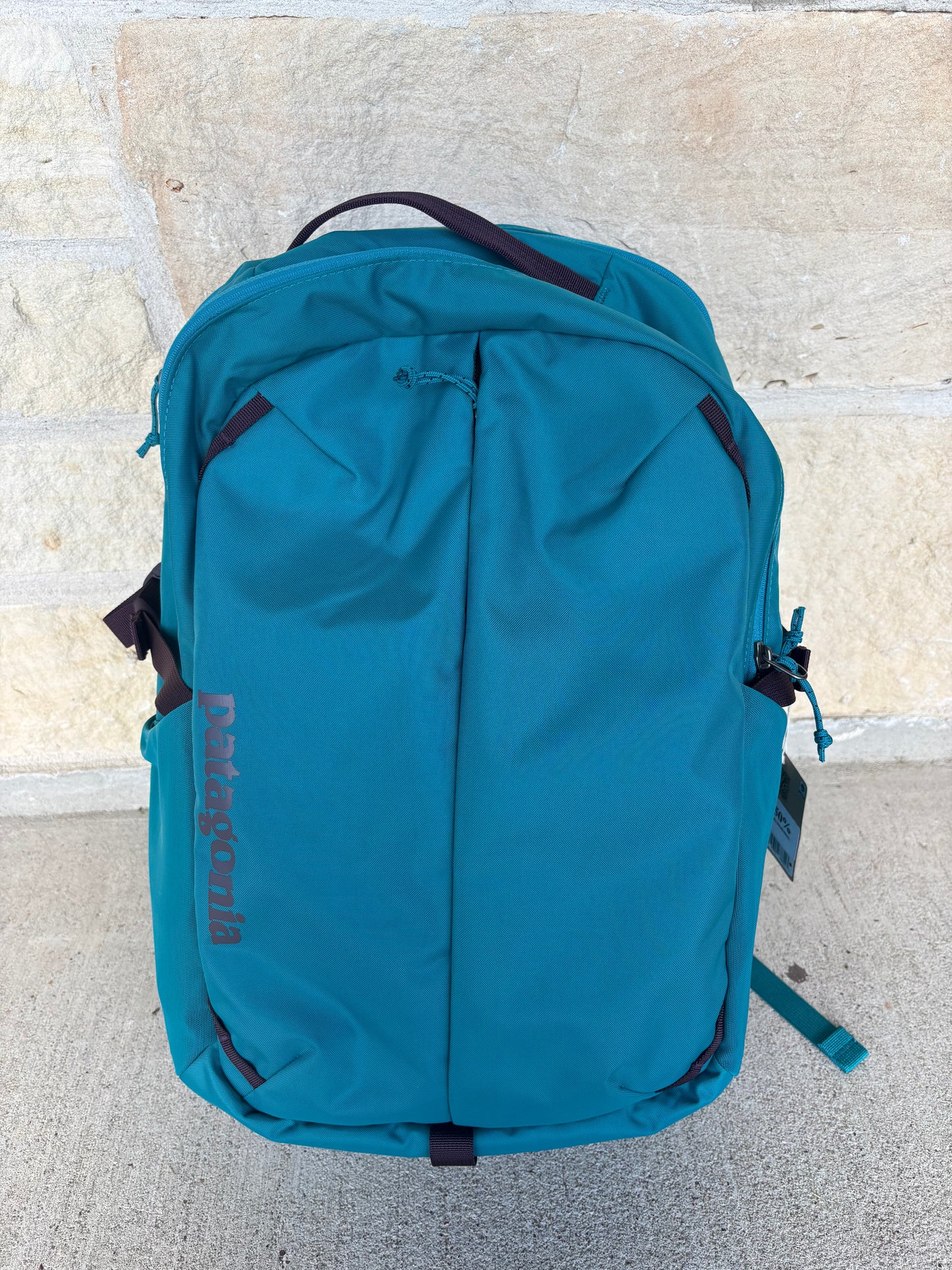 Patagonia Refugio Day Pack