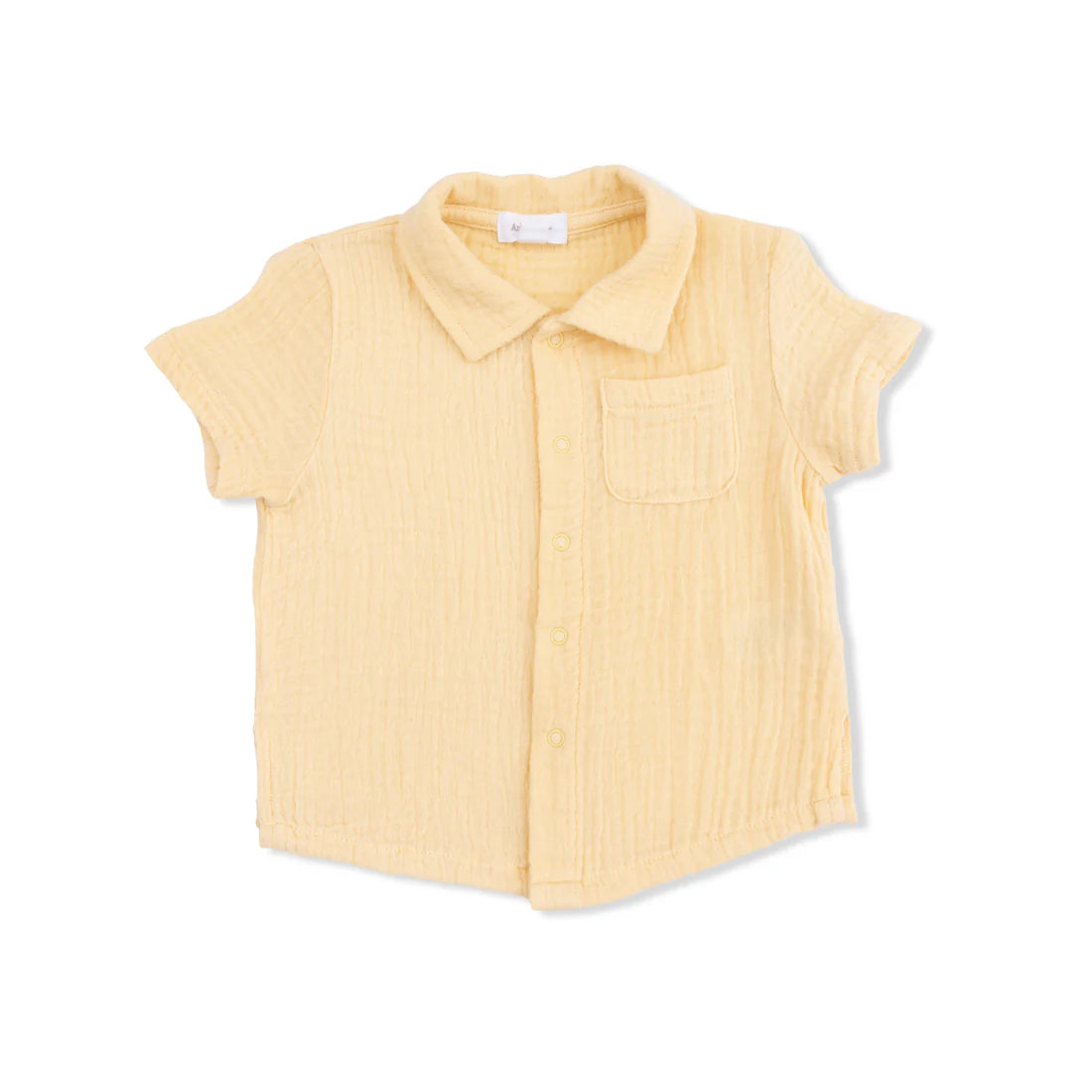 Angel Dear Polo Button Up w/ Shorts | Micro Gingham Blue Blizzard