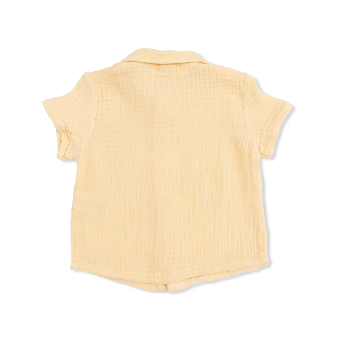 Angel Dear Polo Button Up w/ Shorts | Micro Gingham Blue Blizzard