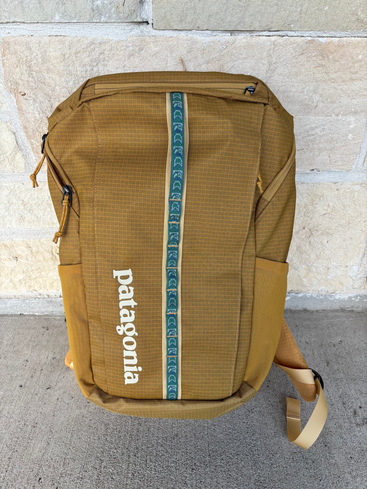 Patagonia Black Hole Backpack