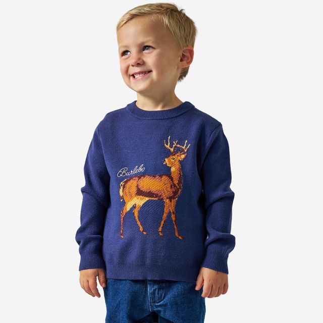 Boys Burlebo Cabin Sweater | Navy Deer