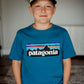 Kids Patagonia Trucker Hat - Ridge Rise Stripe