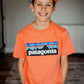 Kids Patagonia Trucker Hat - Ridge Rise Stripe